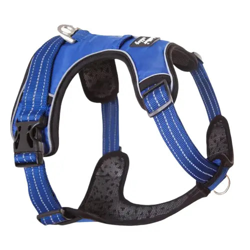 Harnais pour Galgo