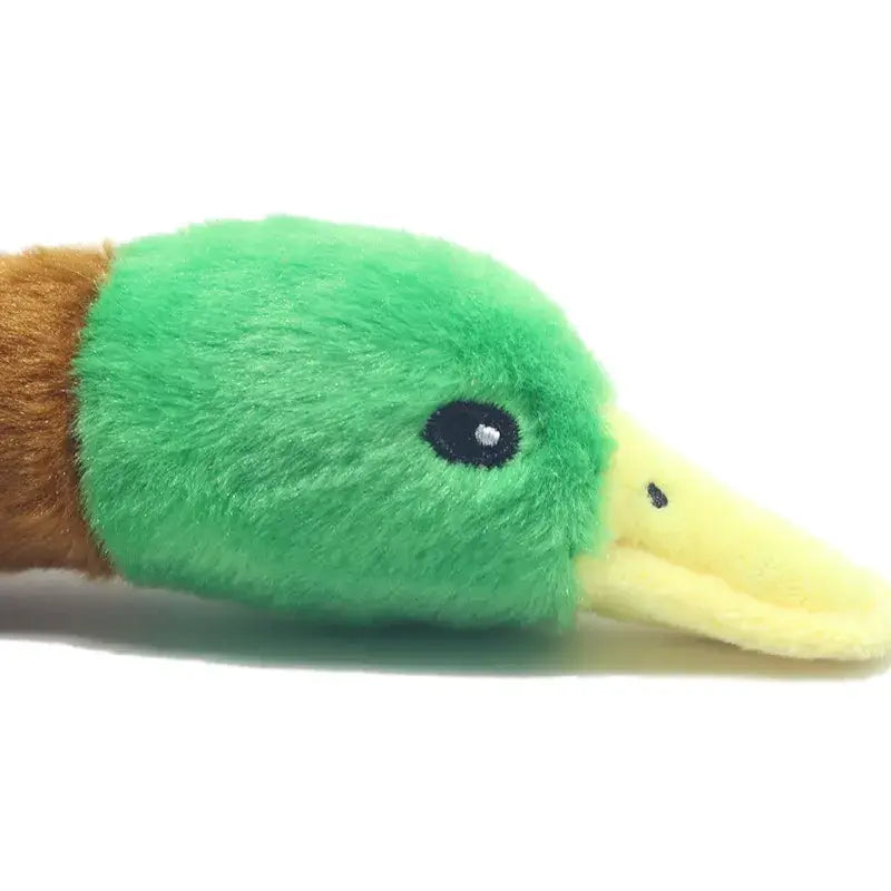 Peluche Canard - Canard Peluche en peluche avec tête verte