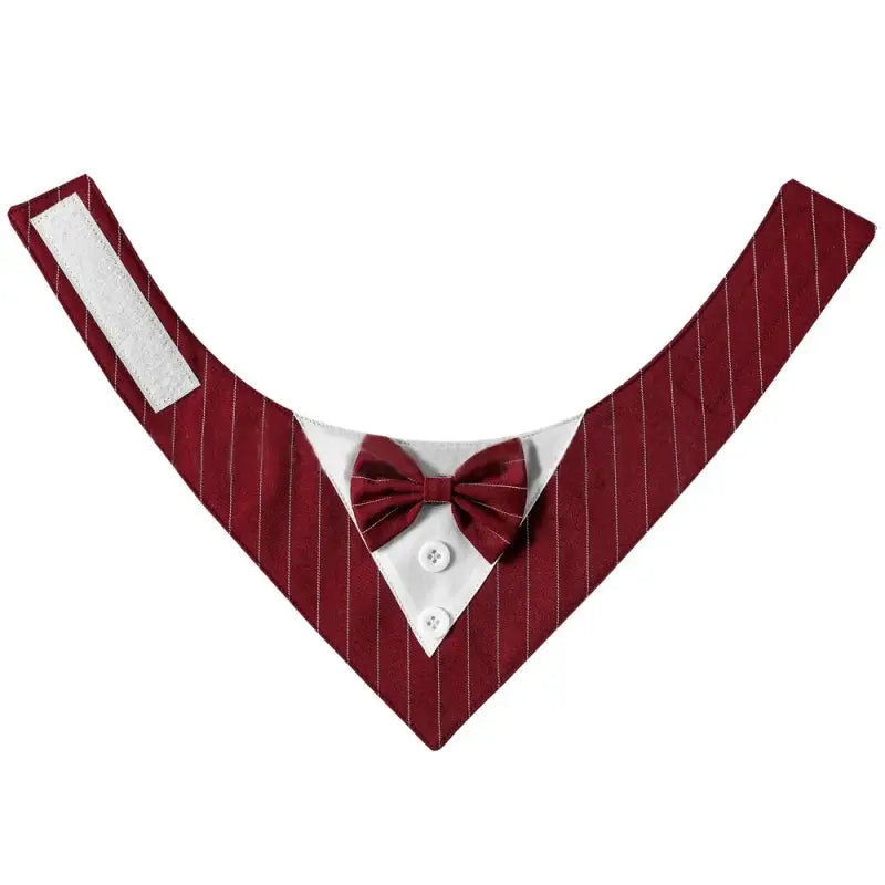 Gros plan d’un col avec un nœud papillon de la collection Comfortable and Elegant Bow Tie