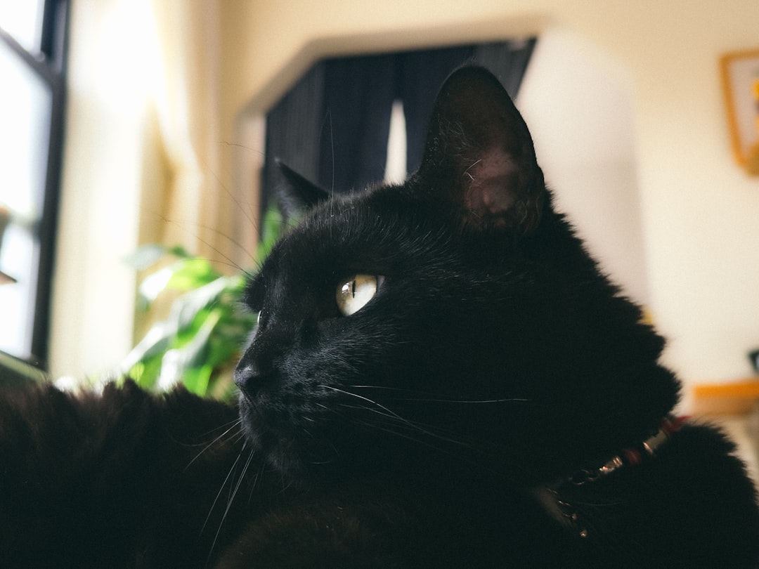 Wetenschappelijk bewezen tips tegen een kater verminderen