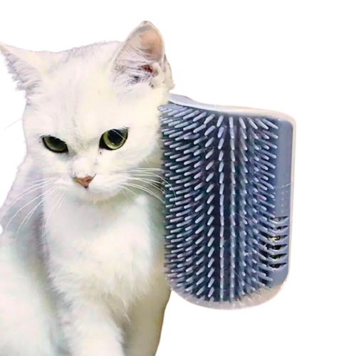 Brosse pour chat | ChaGratte™ Transparent Background