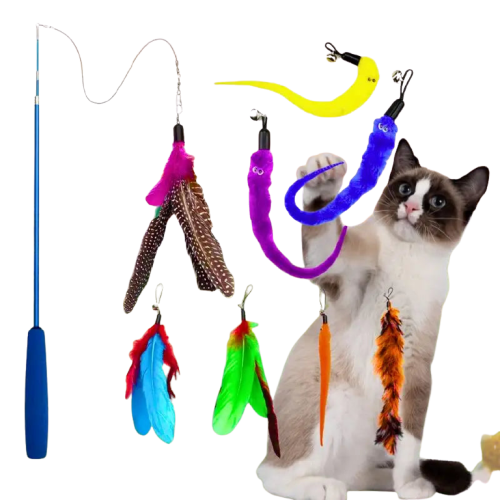 La canne magique pour chat ❘ Magicanne™ Transparent Background