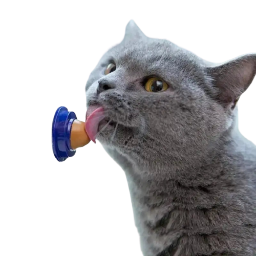 Friandise Pour Chat Delicecat™: Une Petite Douceur Pour Le Félin - Délicecat™ Transparent Background