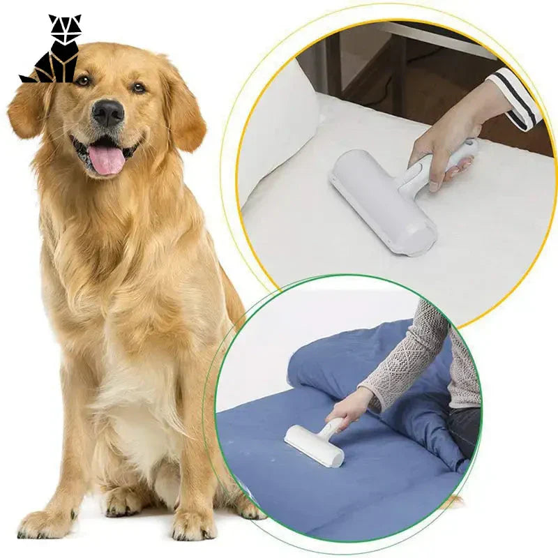 Chien sur un coussin bleu avec une personne utilisant la brosse CoolClean pour une épilation efficace