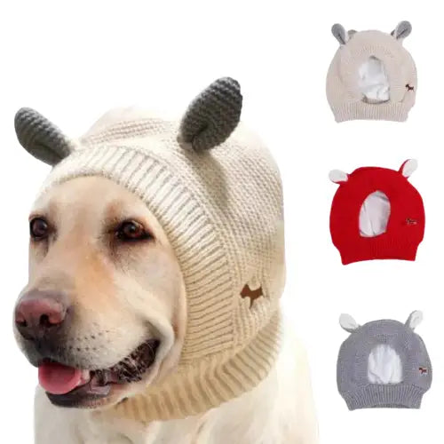 Chien avec bonnet à cornes tricoté portant des casques antibruit pour chiens : confort et protection dans les environnements bruyants Transparent Background