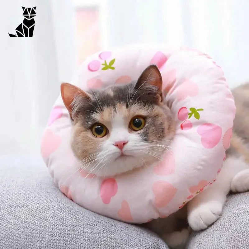 Chat couché sur le canapé avec un oreiller en forme de cœur rose, portant la Cagoule Douce Anti-Morsure pour Chats