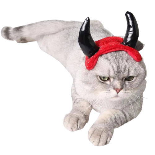 Chapeau pour Chat Diable Rouge Transparent Background