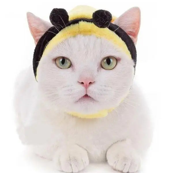 Chat blanc en costume d’abeille unique, chapeau de chat Maya L’Abeille : design confortable