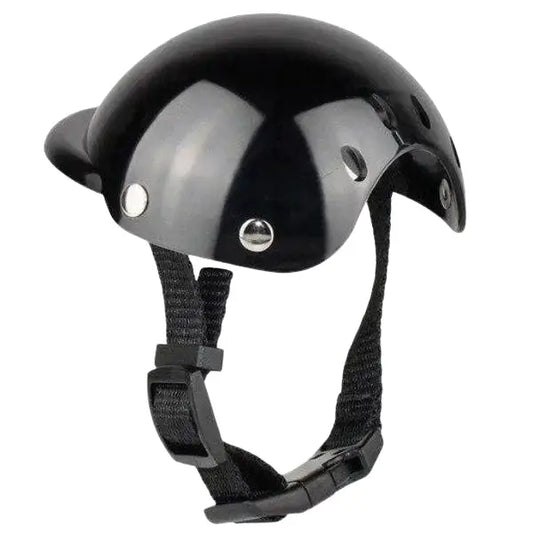 Chapeau pour Chien Protection Moto Transparent Background