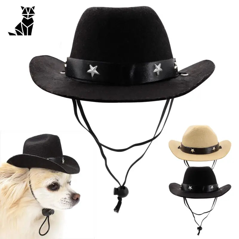 Chapeau pour Chien Cowboy Texan