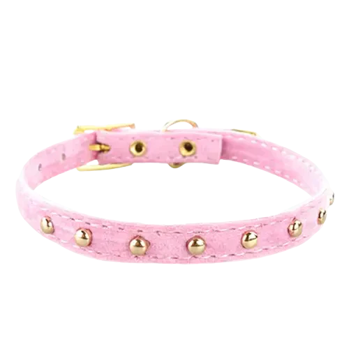 Collier pour chaton et chat chic