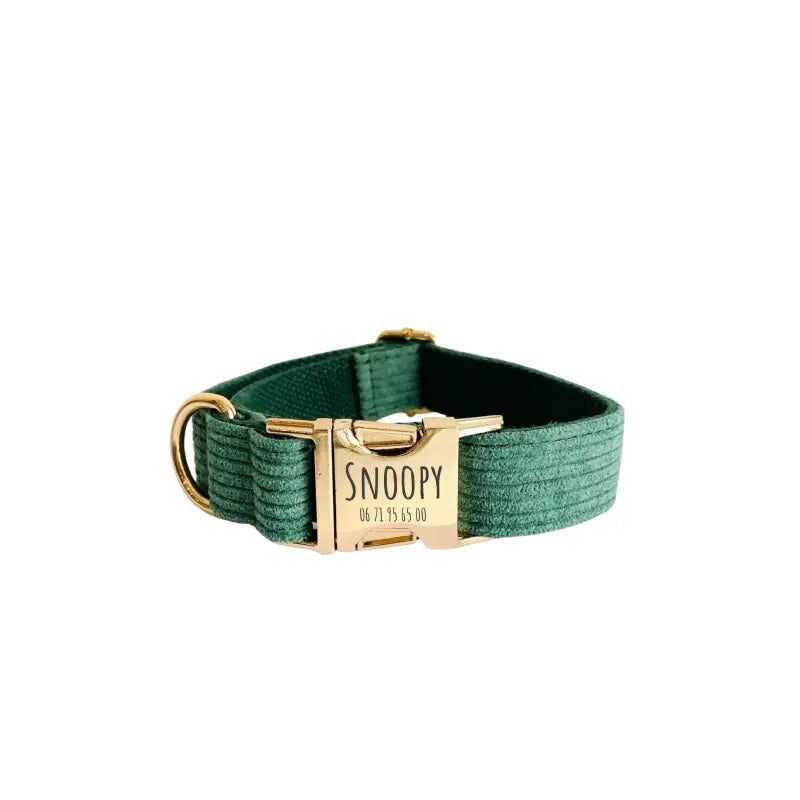 Collier Chien Personnalisé Velours Côtelé Vert Transparent Background