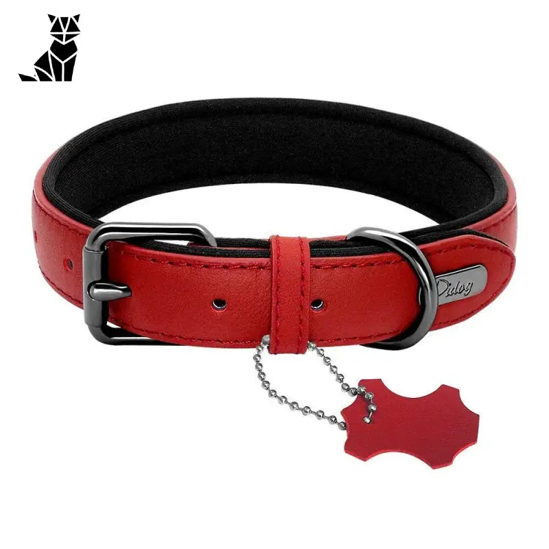 Collier En Cuir Pour Chien