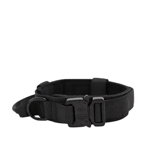 Collier pour Malinois Transparent Background