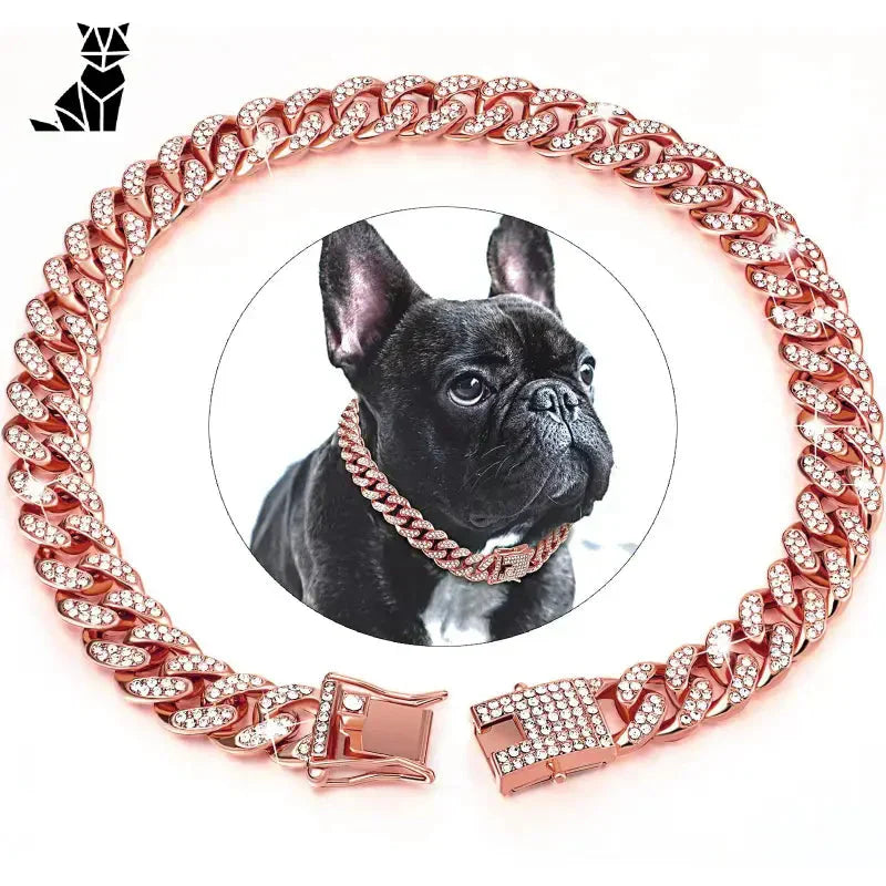 Chien portant une chaîne cubaine ornée, mettant en valeur le luxueux collier cubain orné de diamants