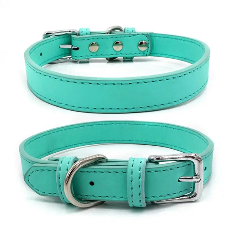 Collier pour Shiba Inu