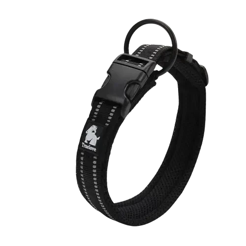 Collier Truelove pour chien Transparent Background