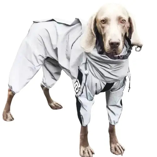 Chien en sweat à capuche portant une combinaison imperméable réfléchissante pour chien, combinaison imperméable Transparent Background