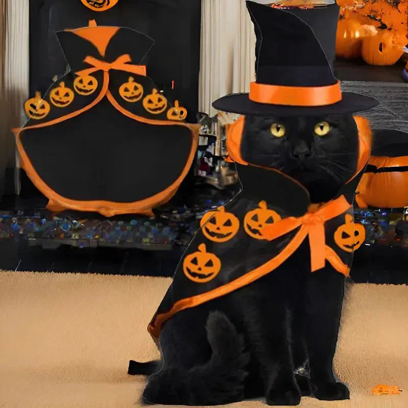 Adorable chat en costume de sorcière près de la cheminée - Parfait pour Halloween - Costume effrayant pour chats