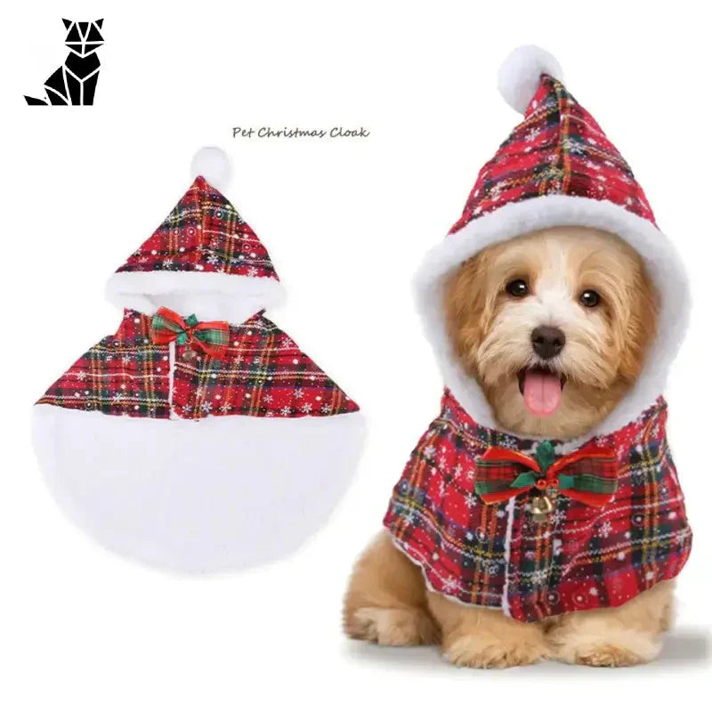 Chien avec bonnet et écharpe de Noël, modelant le ’Costume de chat de Noël : Confort et sécurité’ pour les séances photo