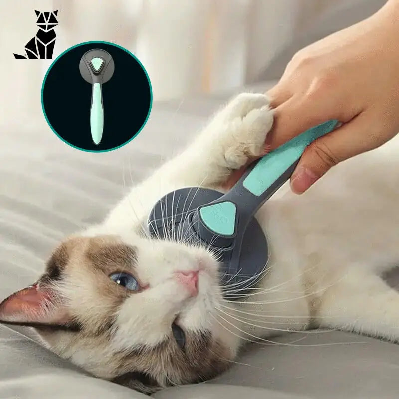 Brosse pour chat | CatBrush™