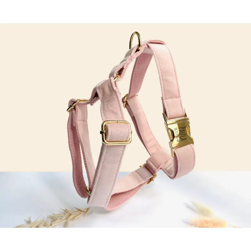 Kit Complet Chien Personnalisé Velours Rose