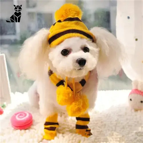 Bob pour Chien d’Hiver (chapeau + écharpe + chaussettes)