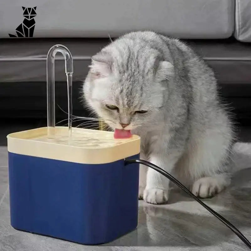 Fontaine à eau pour chat | CatWater™