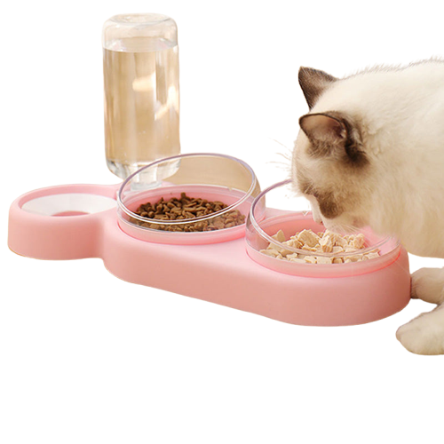 Gamelles multifonctions pour chat Transparent Background