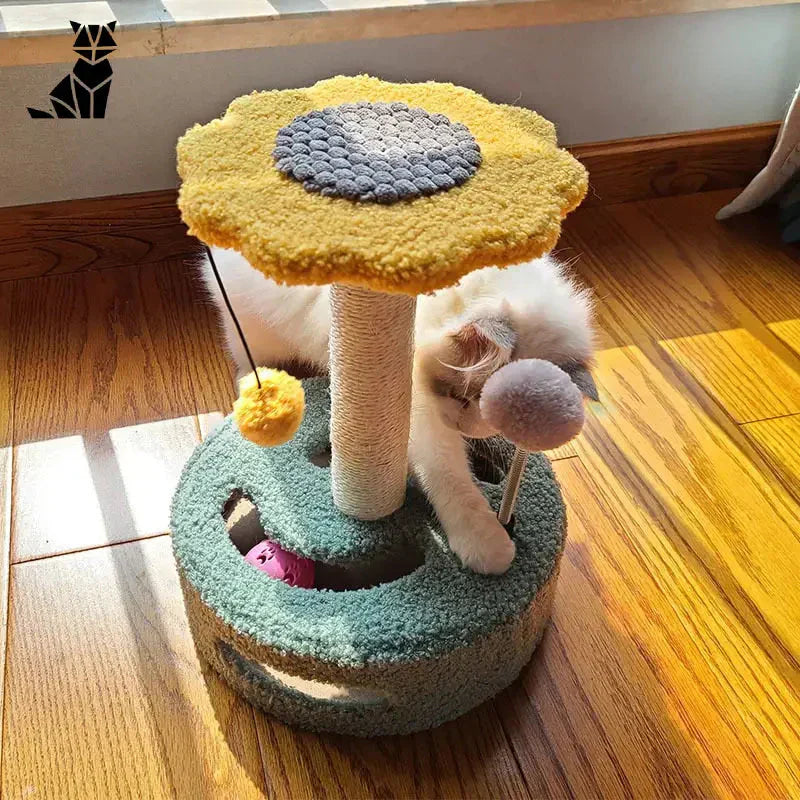 Un chat assis sur un arbre à chat - Cat Scratching Post, tournesol ajoute, touche amusante, moyen naturel