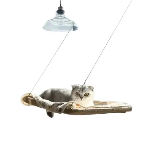 Chat se prélassant sur un lit Hamacat : le coin douillet par excellence pour votre ami à quatre pattes Transparent Background