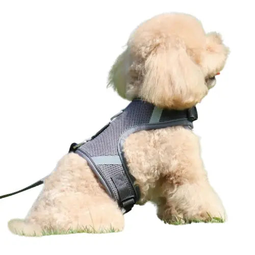 Harnais respirant pour chien et chat Transparent Background