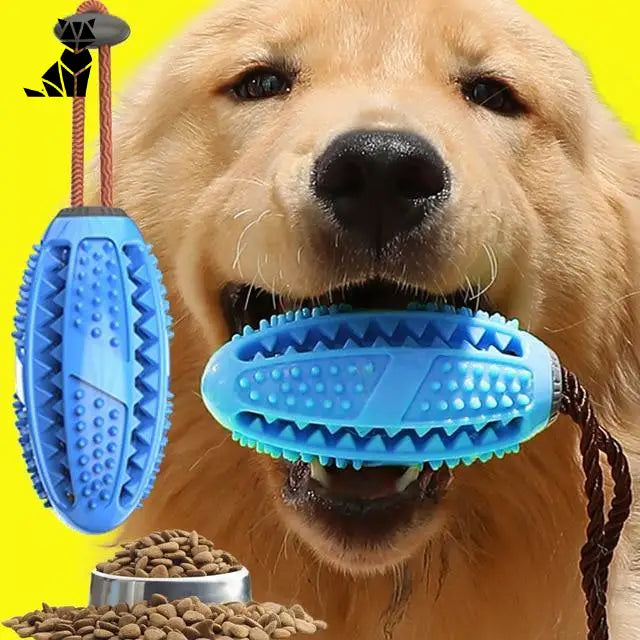 Jouet Brosse à Dents Pour Chien