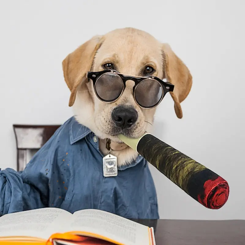 Chien avec lunettes et livre présentant le jouet à mâcher Cigar avec Squeak jouet