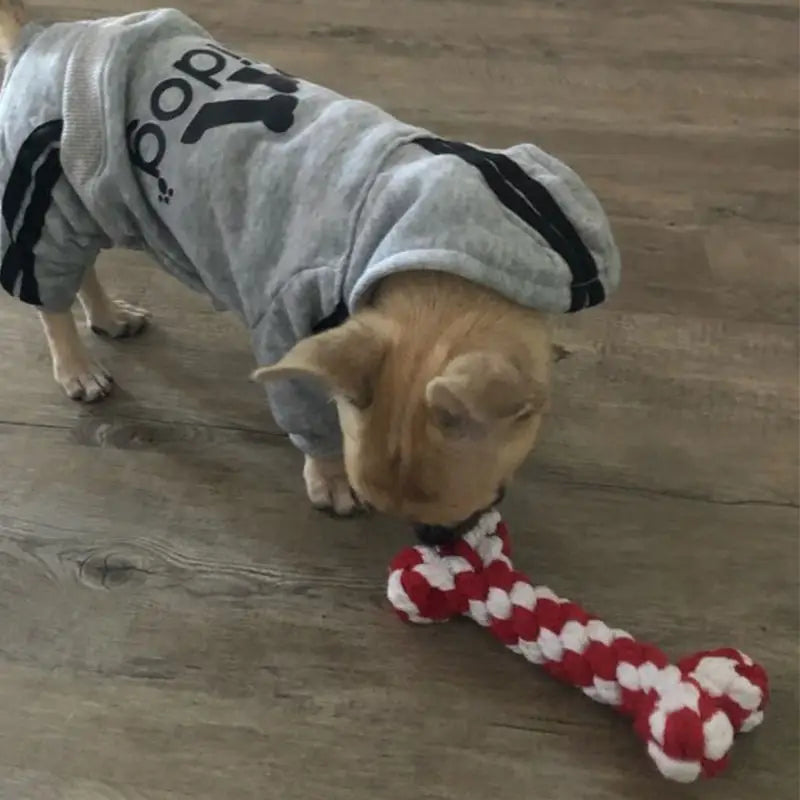 Os en corde à mâcher pour chien