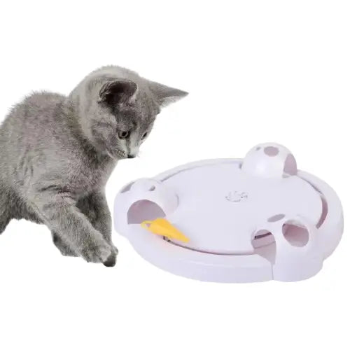 Jouet Interactif Attrape Souris: Divertissement Pour Votre Chat - Blanc Transparent Background