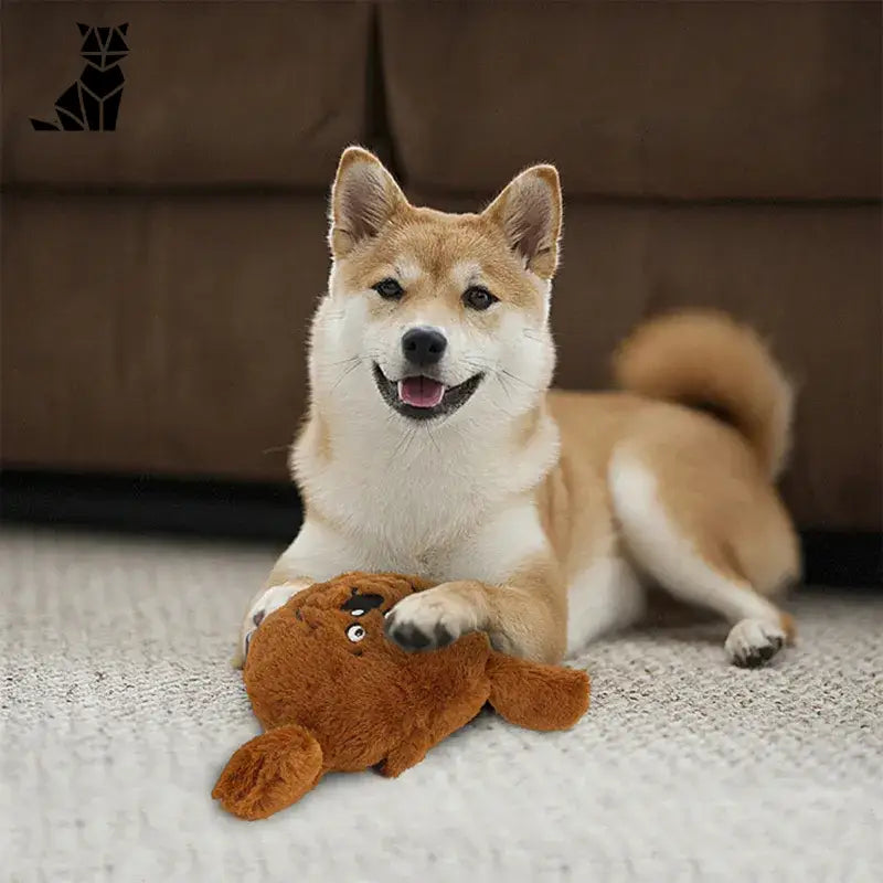 Chien couché sur le sol avec un animal en peluche profitant d’une balle vibrante interactive pour le stimuler