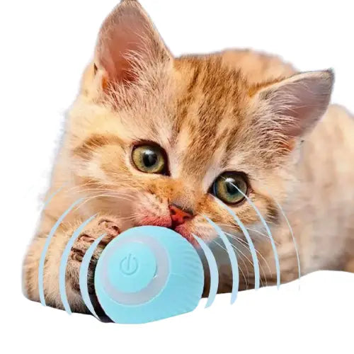 La balle magic pour chat | MagicBall™ Transparent Background