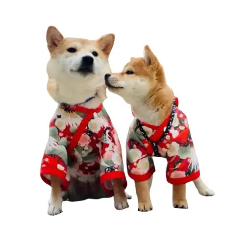 Deux moyens chiens portant des pyjamas en style kimono japonais sur le trottoir Transparent Background