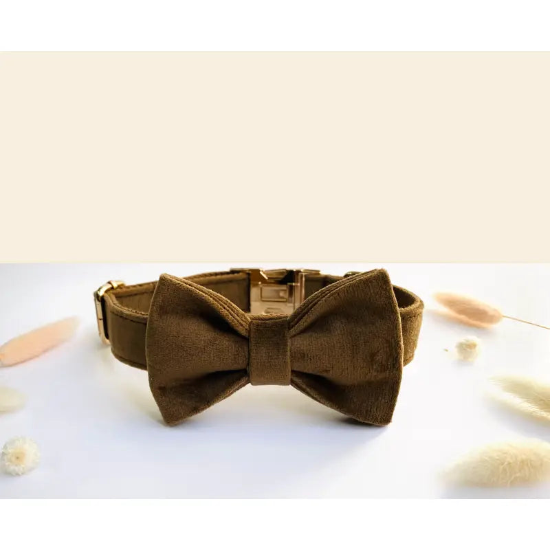 Kit Complet Chien Personnalisé Velours Lisse Marron