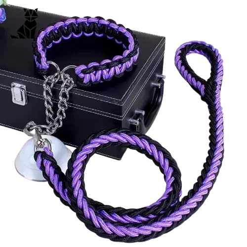 Laisse tressée pour chien