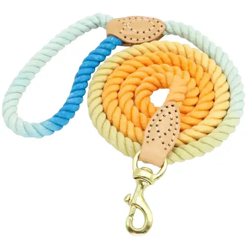 Laisse pour chien solide Transparent Background