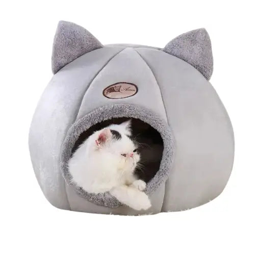 Chat couché dans un lit privé et chaud de Cat House - Espace privé et chaleureux Transparent Background