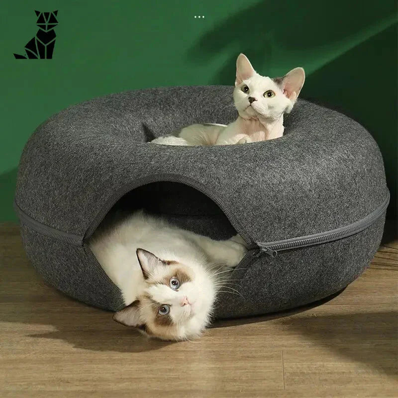 Chat couché dans le lit Cozy Cat Kennel gris pour une expérience de douillet et de repos