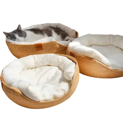 Un chat qui dort dans un panier sur le sol - Nid douillet en bambou tressé pour petits chiens Transparent Background