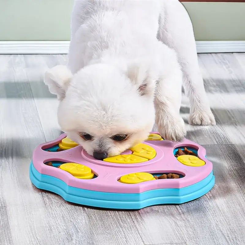 Chien dégustant un repas dans une gamelle puzzle, favorisant la stimulation mentale